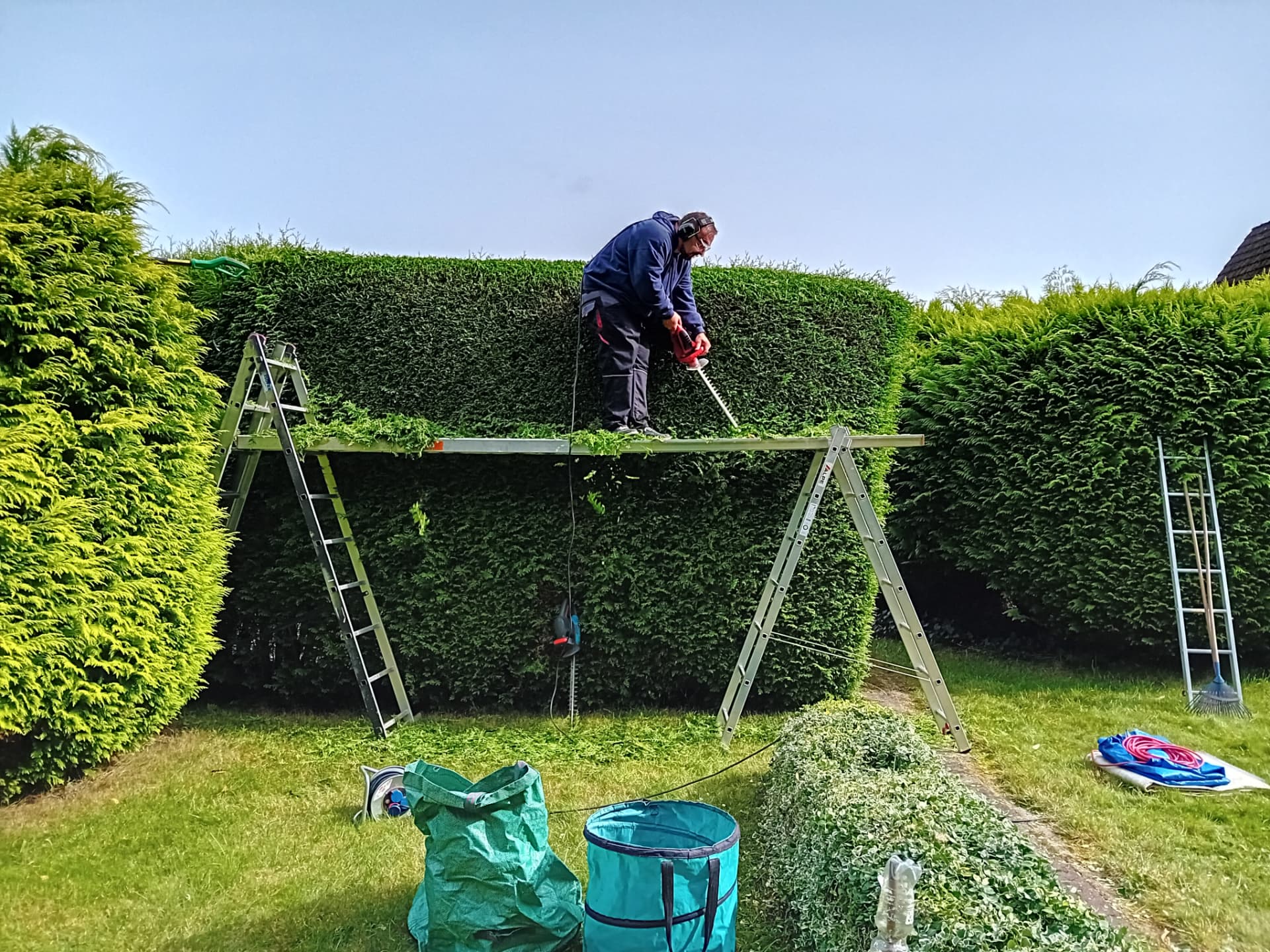 Denis Desiato beim Schneiden einer hohen Hecke