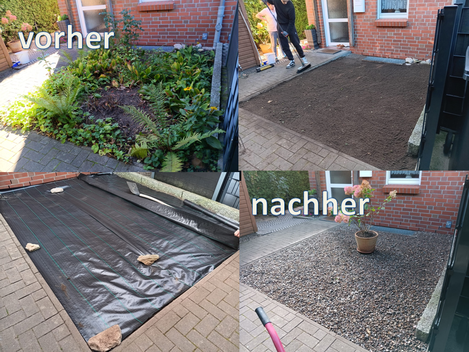 Neu gestalteter Vorgarten mit Schotterfläche und Hortensie, vorher und nachher